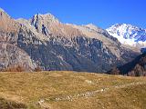 Monte Disgrazia - 036